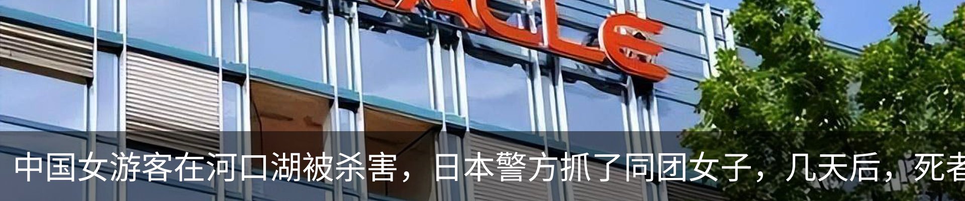 新闻动态